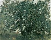 Der Eichbaum, Lovis Corinth